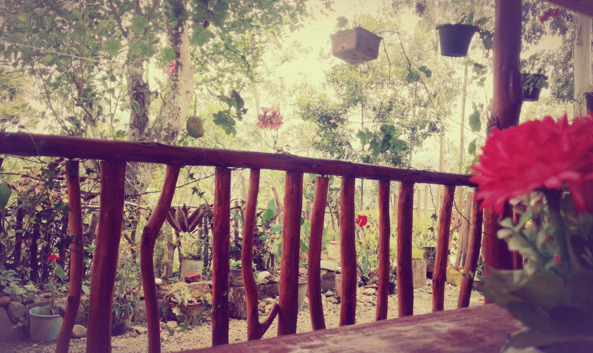 Deneth Homestay Ella Exterior foto